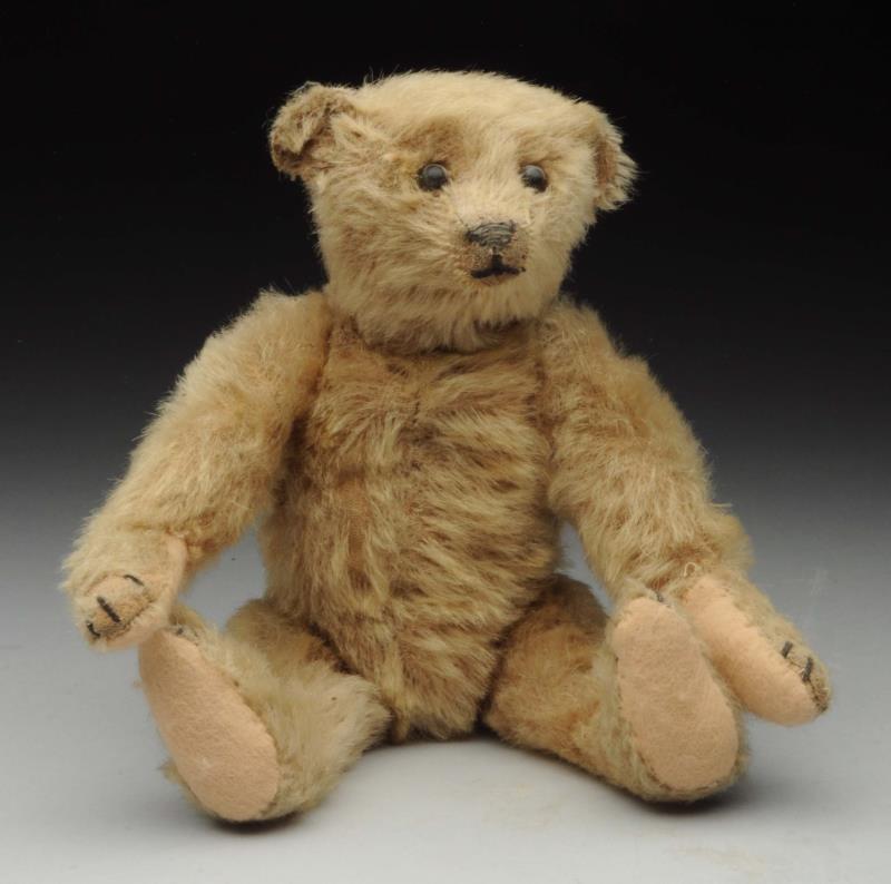 Appraisal: Steiff Teddy Bear No ID Beige color circa - all