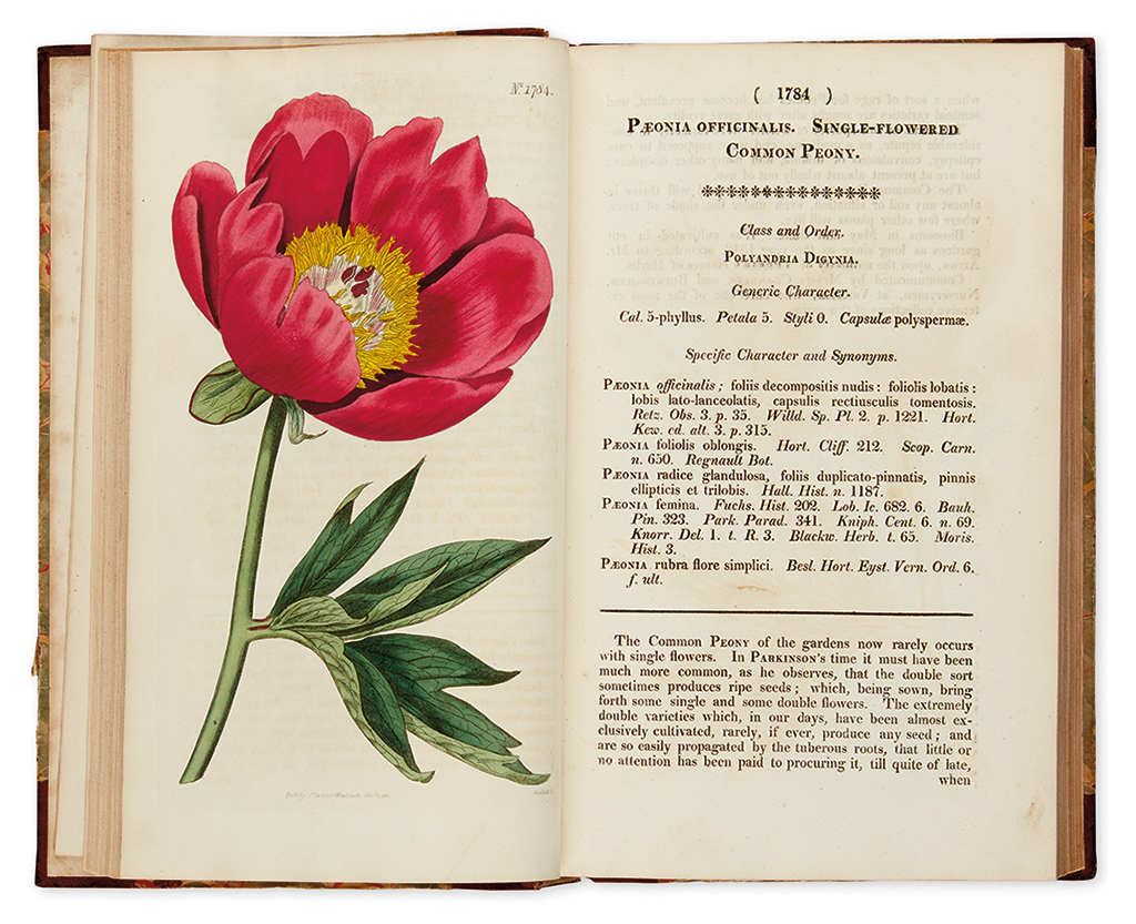 Appraisal: CURTIS WILLIAM Curtis's Botanical Magazine or Flower-Garden Displayed Vol XLIII