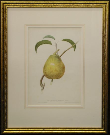 Appraisal: Trio of Sharp Son Bookplate Chromolithographs depicting pear and plum