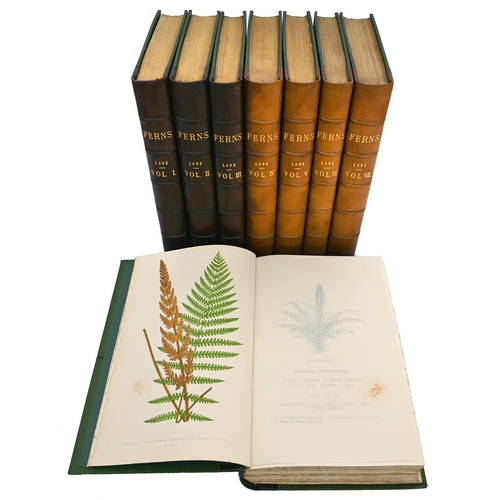 Appraisal: Lowe E J - Ferns British and Exotic eight volumes