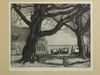 Appraisal: MEZZOTINT ETCHING - 'Old Willow Cape Cod' by T G