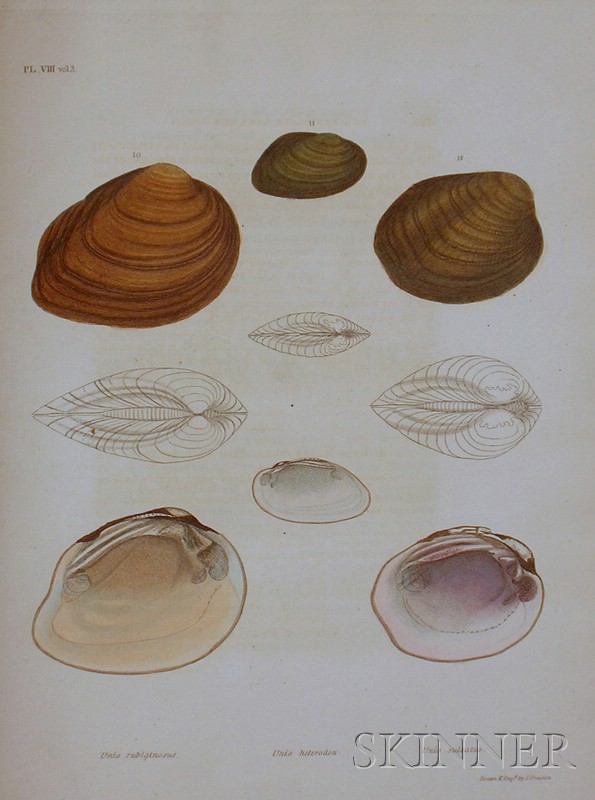 Appraisal: Conchology Lea Isaac Papers on Conchology Philadelphia with twenty-eight hand-colored