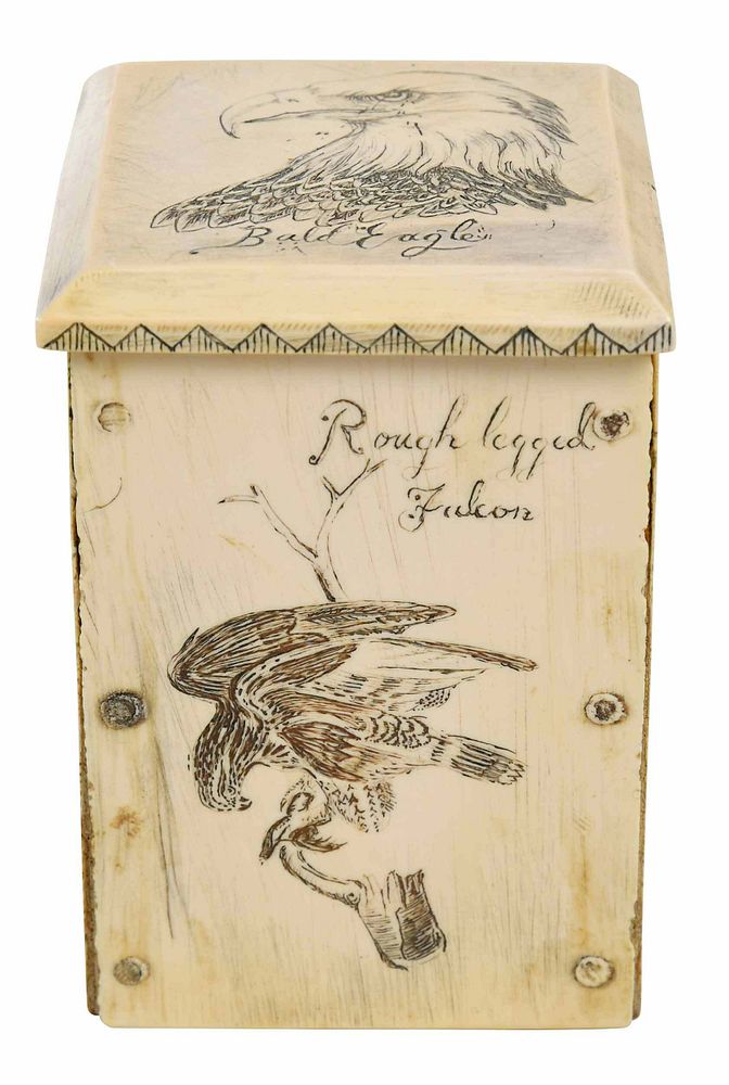 Appraisal: Maritime Scrimshaw Box possibly walrus fowl decoration at sides and