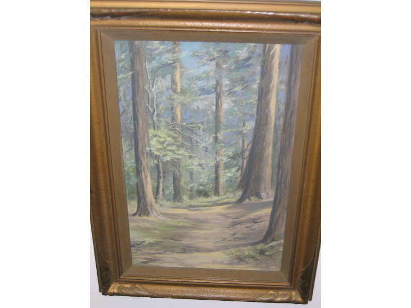 Appraisal: P DWERZEK AMERICAN Redwood forest pastel on paper signed lower