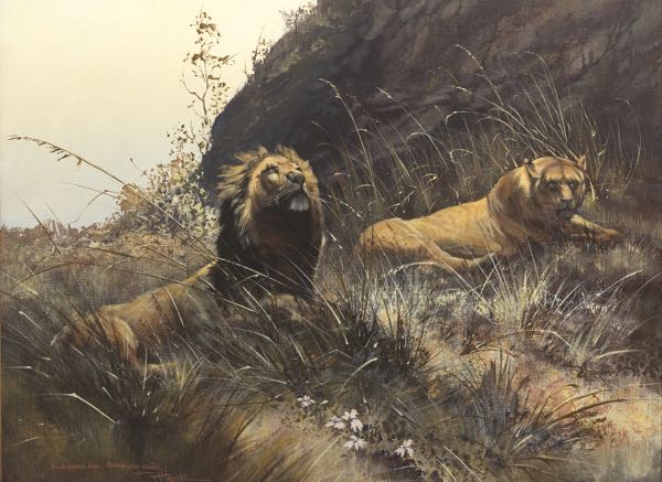 Appraisal: RICHARD WAGNER AMERICAN - x Black Maned Lions Ngorongoro Crater