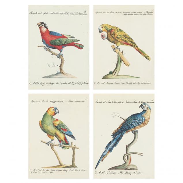 Appraisal: AFTER SAVERIO MANETTI ITALIAN - FOUR PAPPAGALLO PARROT PRINTS Each