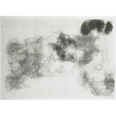 Appraisal: Rosemarie Trockel German b Untitled Hairdrawing Photocopy Signed and dated