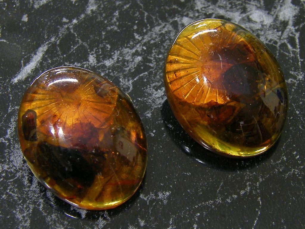 Appraisal: Pair of oval amber ear clips mm x mm