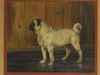 Appraisal: OOCB - 'Toy A Champion Pug Dog' signed ' Hopkins