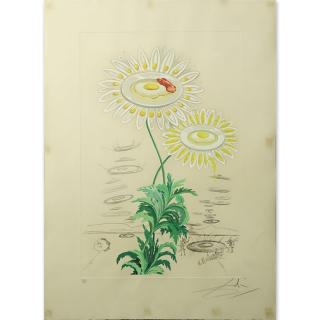 Appraisal: Salvador Dali Spanish - Flora Dalinae Chrysanthemum Color Etching Pencil