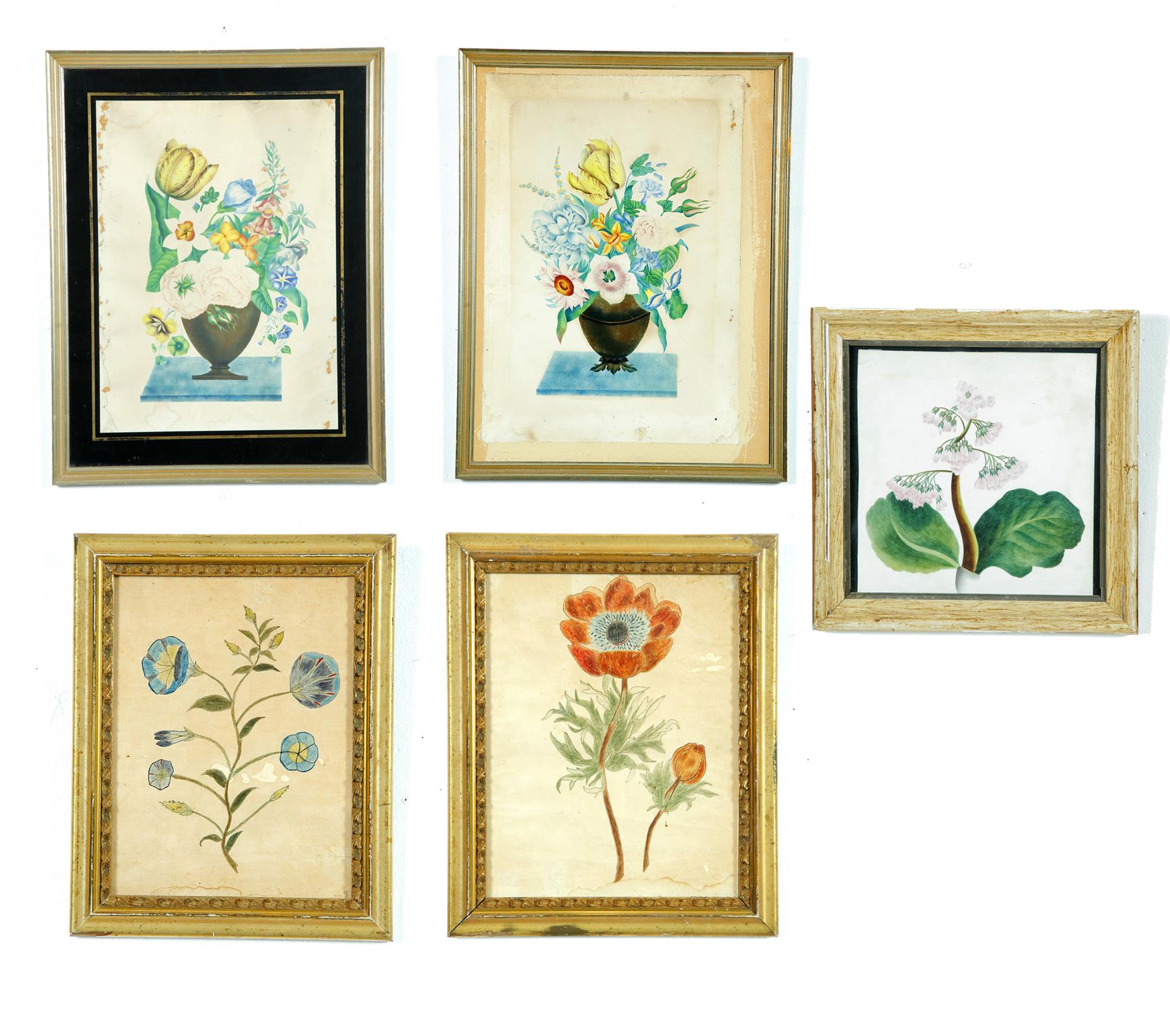 Appraisal: FIVE AMERICAN WATERCOLORS OF FLOWERS Nineteenth century watercolor on paper