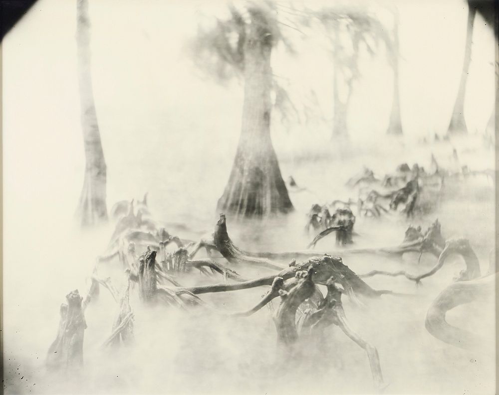 Appraisal: Sally Mann Untitled Deep South Photograph Sally Mann b Photograph