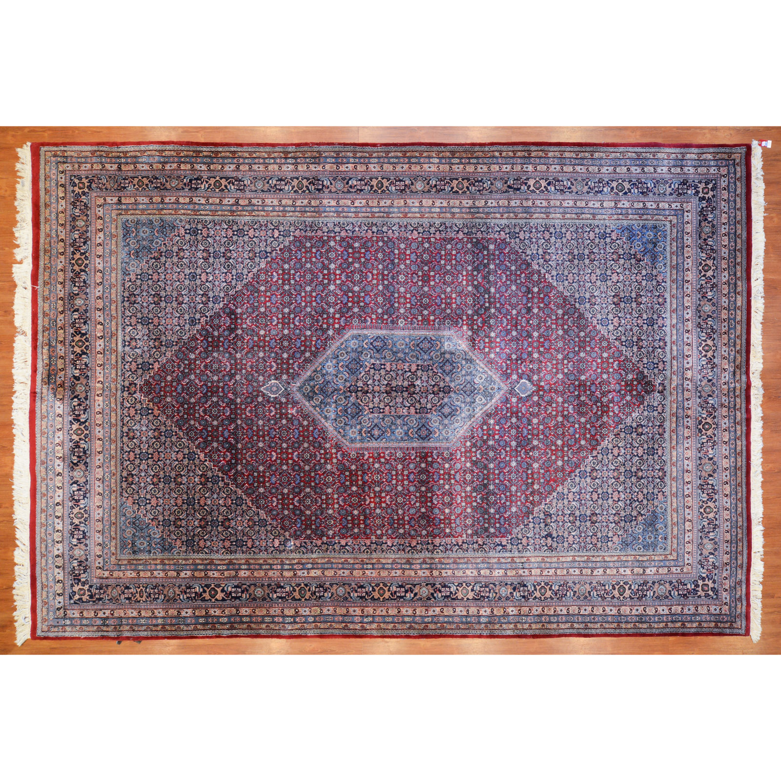 Appraisal: INDO BIJAR CARPET INDIA X Fourth quarter- th century hand-knotted