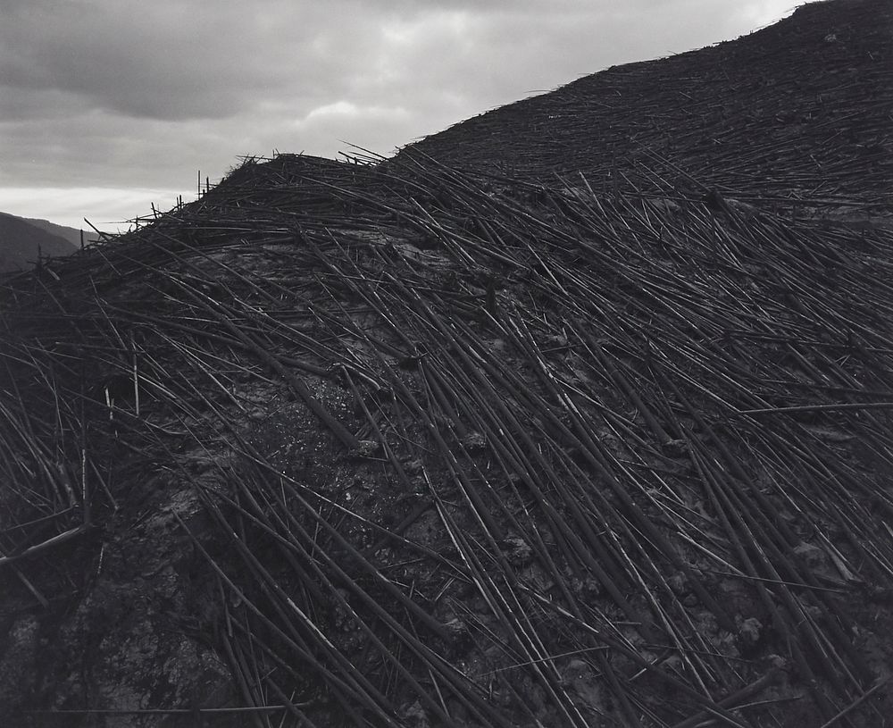 Appraisal: Frank Gohlke Aerial View Downed Forest Photograph Frank Gohlke American