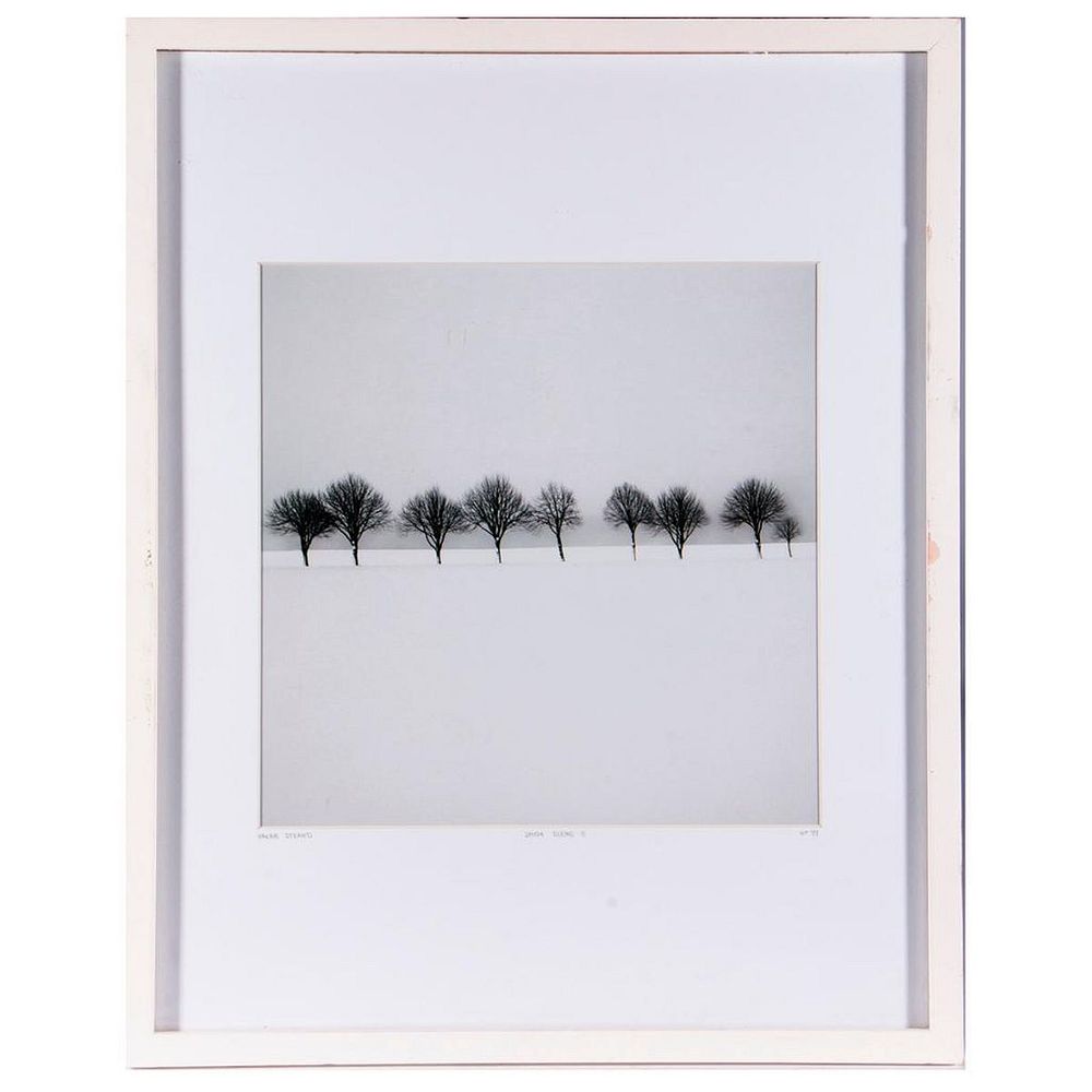 Appraisal: Hakan Strand photograph Hakan Strand framed photograph Artwork Height- inches