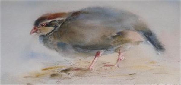 Appraisal: Ian Armour-Chelu - Partridge Watercolour Signed lower right x cm