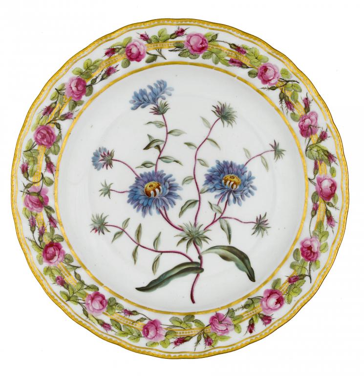 Appraisal: A DERBY BOTANICAL PLATE finely painted with a specimen of