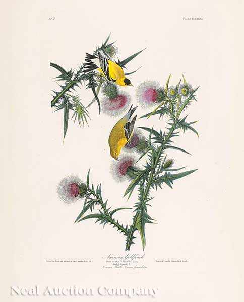 Appraisal: John James Audubon American - American Goldfinch Plate XXXIII from