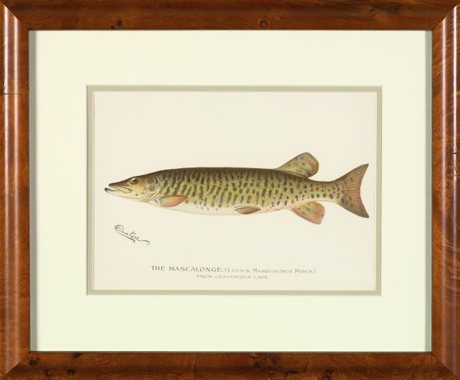 Appraisal: Sherman Foote Denton American - Lake Fish suite of eight