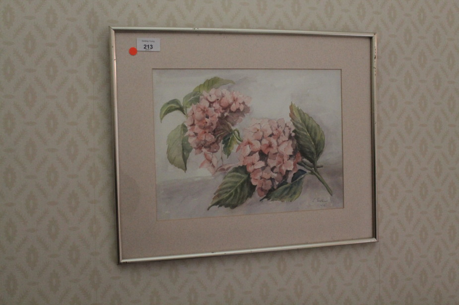 Appraisal: L Erskine Study of pink Hydrangeas watercolour drawing signed and