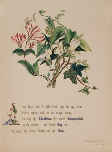 Appraisal: COLOR PLATE GIRAUD JANE ELIZABETH The Flowers of Shakespeare Estimate