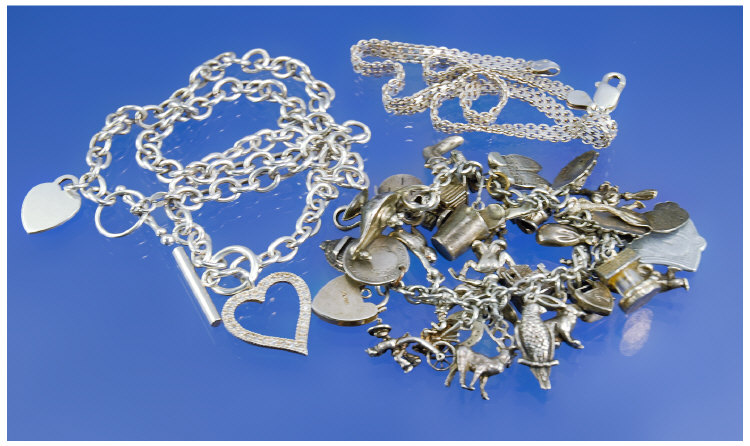 Appraisal: Collection Of Silver Jewellery Comprising Charm Bracelet Chains Bracelets etc