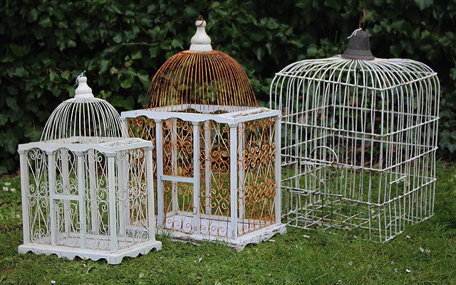 Appraisal: A VICTORIAN WHITE PAINTED WIRE WORK PARROT CAGE cm wide