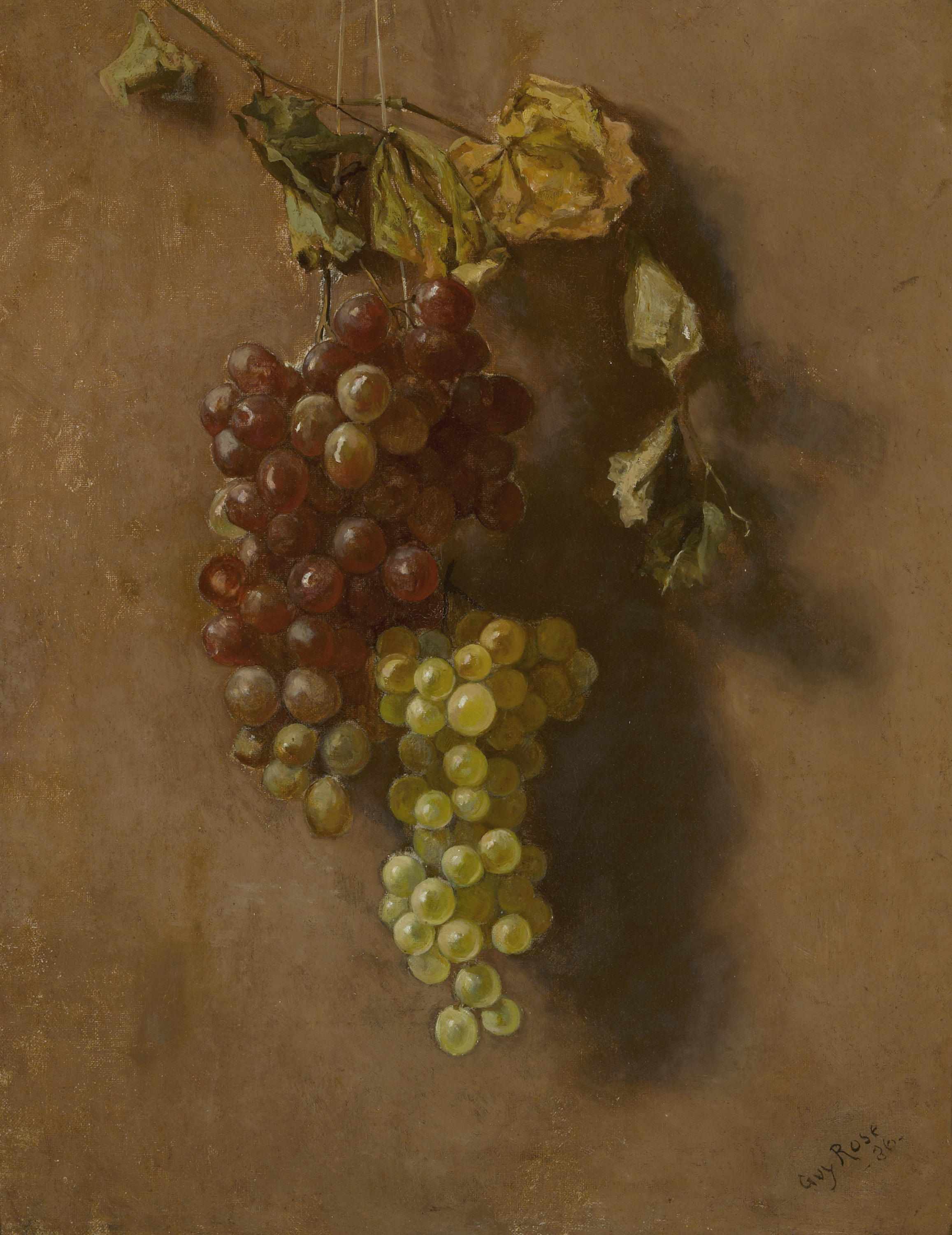 Appraisal: Guy Rose American - Grapes suspended signed and dated 'Guy