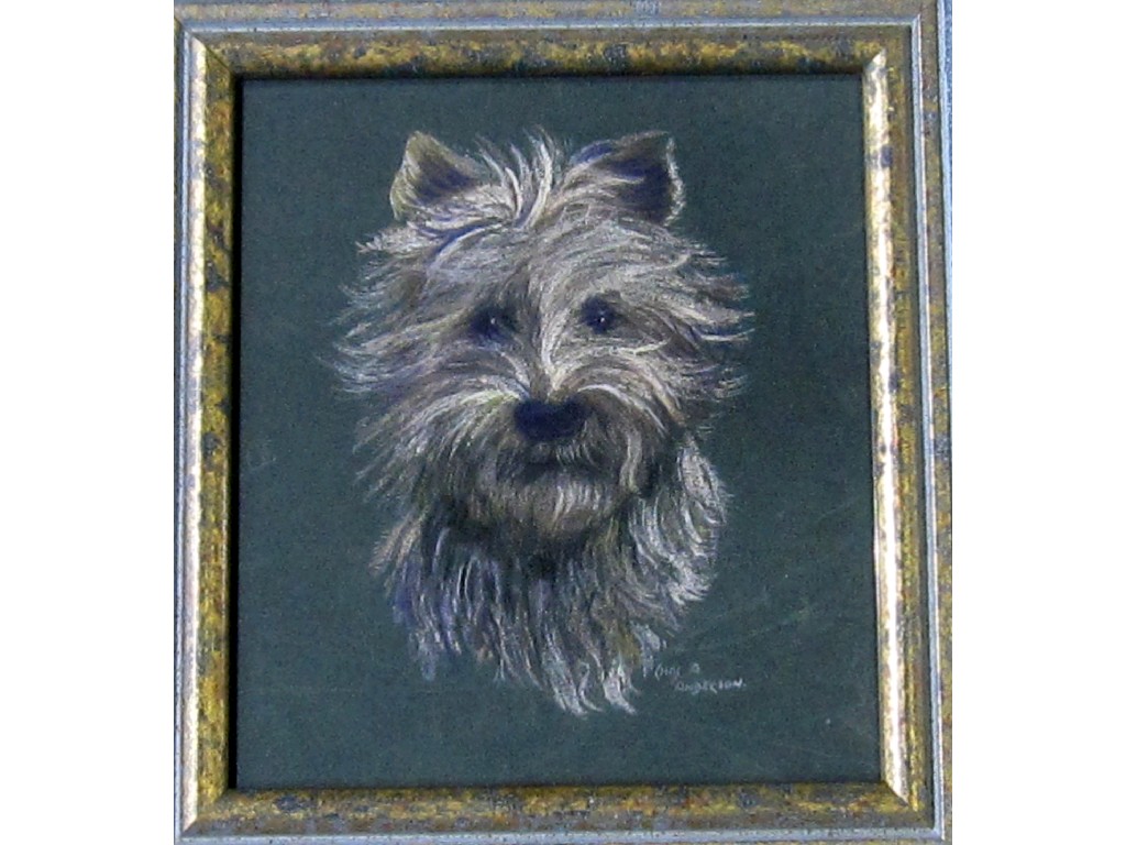 Appraisal: CHARLES A ANDERSON Two pastel dog portraits both signed