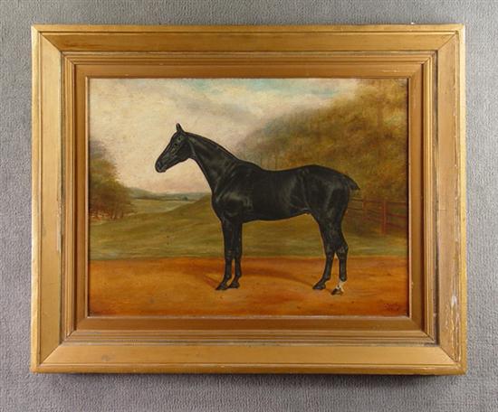 Appraisal: English Horse Portrait by F Thurlby British Oil on canvas