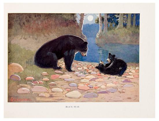 Appraisal: DEMING Edwin Willard illustrator and Therese O DEMING American Animal