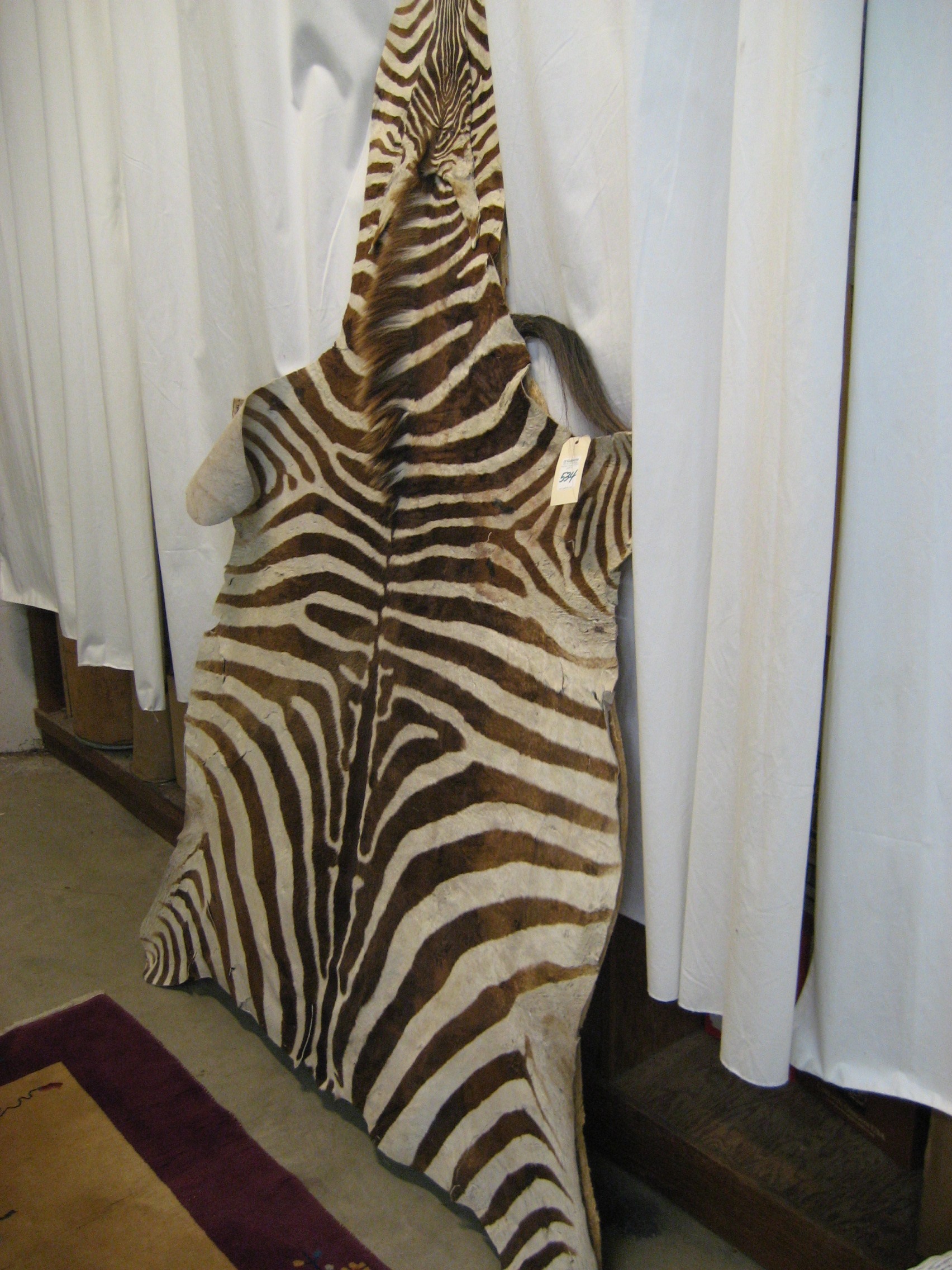 Appraisal: AFRICAN ZEBRA SKIN FLOOR OR WALL RUG L x W