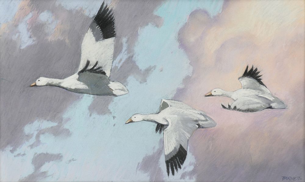 Appraisal: AL BARNES American Texas - A DRAWING Snow Geese in