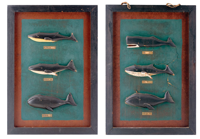 Appraisal: PAIR OF CARVED AND PAINTED WHALE PLAQUES Each shadowbox frame