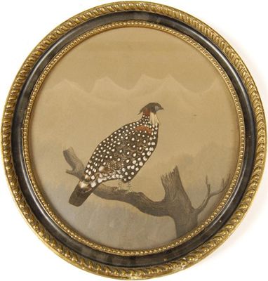 Appraisal: A pair of oval feather pictures birds one perched on