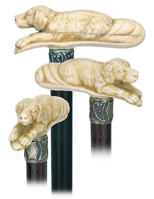 Appraisal: Walrus Dog Cane -Ca -Opera shaped walrus handle carved in