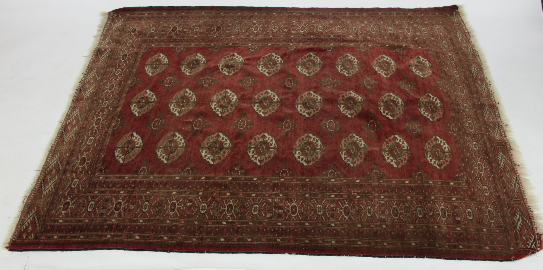 Appraisal: An Afghan rug of twenty-four elephant foot guls on a