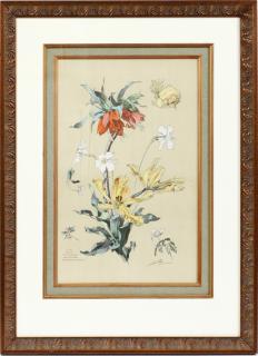 Appraisal: TAMBERG HAND COLORED LITHOGRAPH 'PL ' TAMBERG HAND COLORED LITHOGRAPH