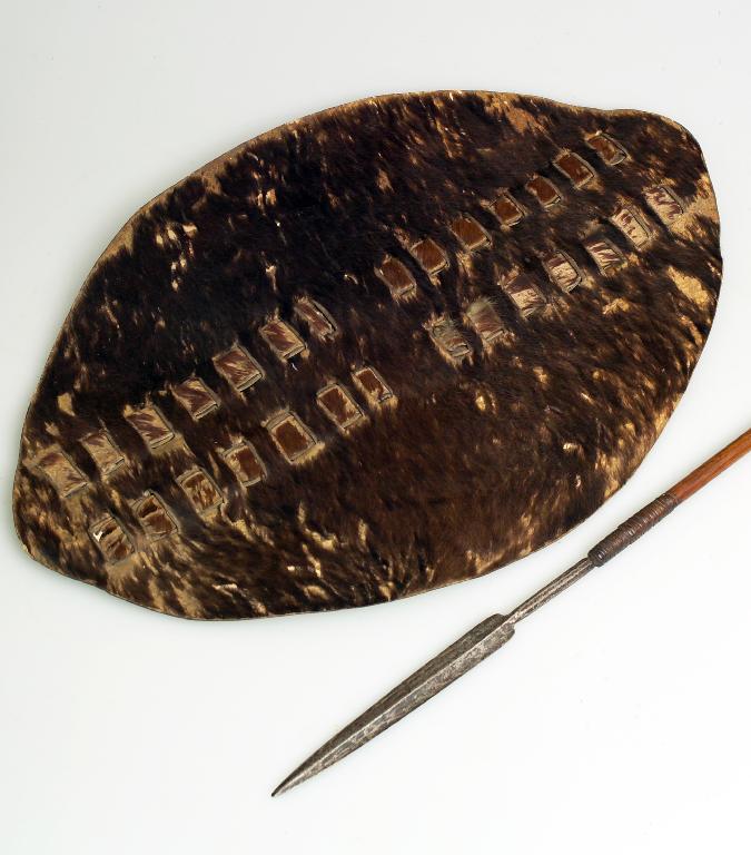 Appraisal: CENTRAL AFRICAN CEREMONIAL HIDE SHIELD together with a spear Shield