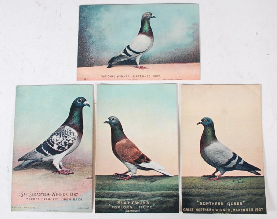 Appraisal: MIXED ALBUM OF APPROX EARLY TWENTIETH CENTURY POSTCARDS includes four