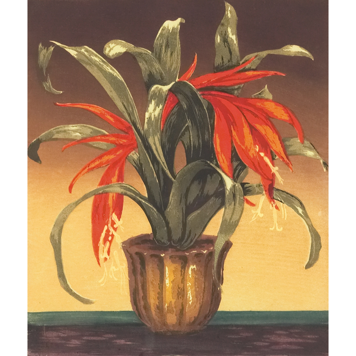 Appraisal: Hugo Noske Austrian - ''Bromelia '' c color woodcut ''