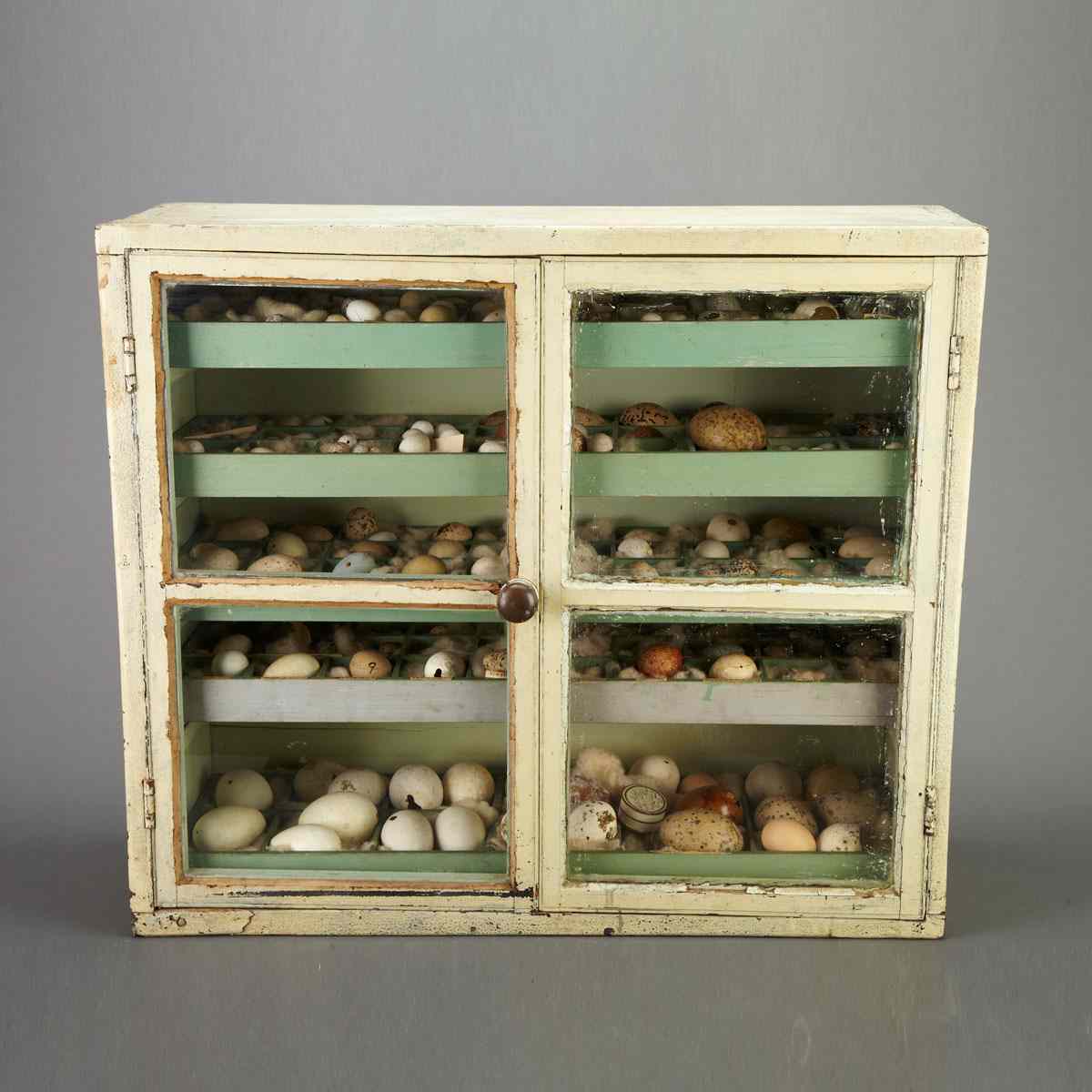 Appraisal: Eastern Ontario Ornithological Specimen Egg Collector s Cabinet th century