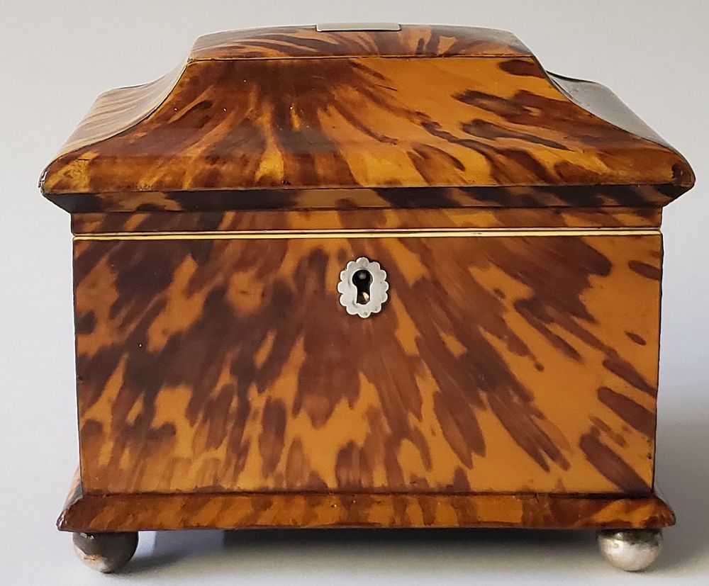 Appraisal: English Regency Tortoiseshell Double Compartment Tea Caddy th Century English