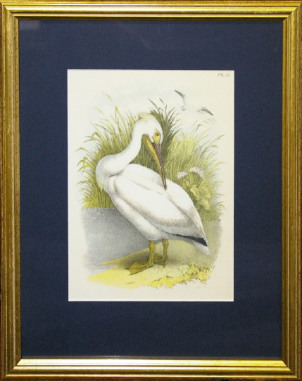 Appraisal: Jacob H Struder American th Century Wood Ibis and White