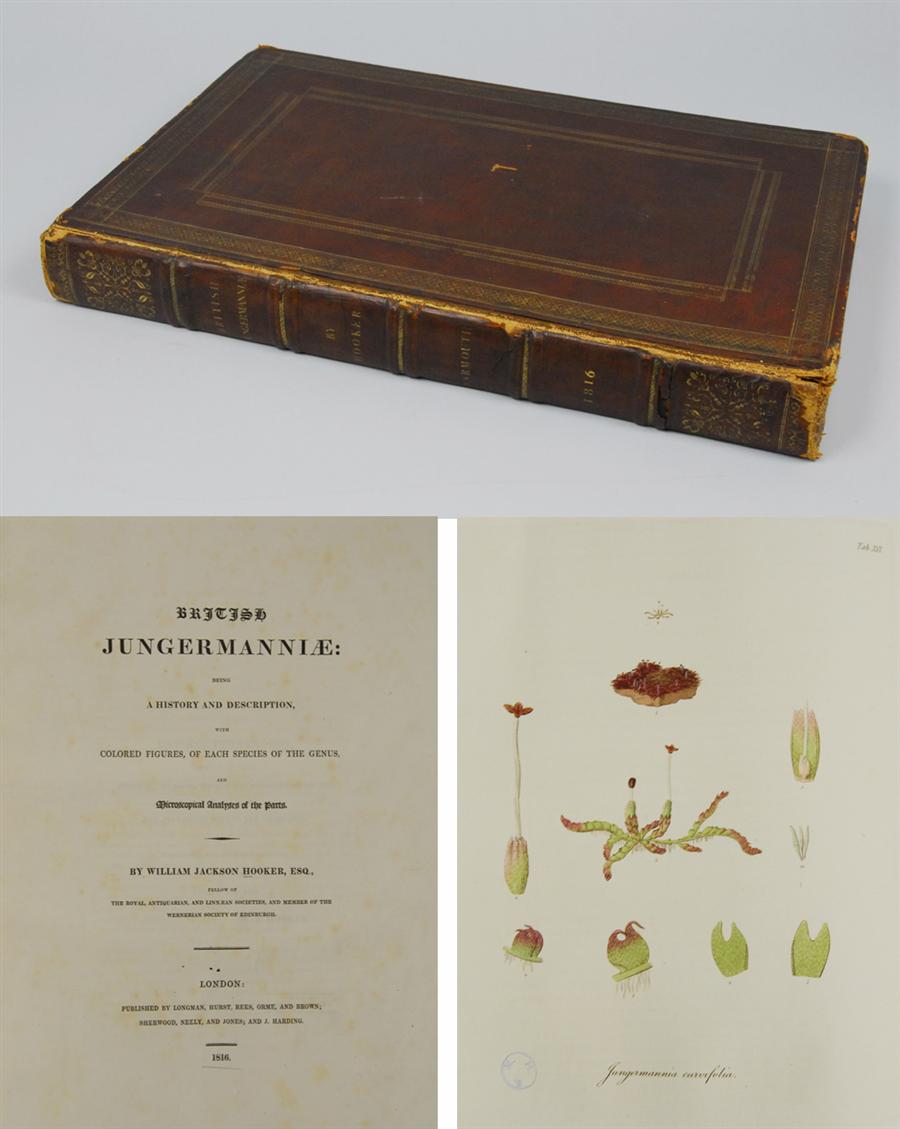 Appraisal: HORTICULTURAL BOOK HOOKER WILLIAM JACKSON BRITISH JUNGERMANNIAE BEING A HISTORY