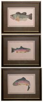 Appraisal: Three Larry Crawford Fish Prints Three hand-colored engravings of game