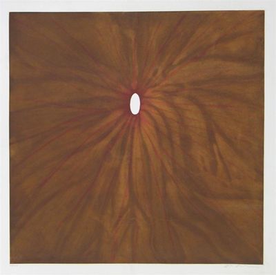 Appraisal: Anish Kapoor Indian b Untitled Signed and numbered Intaglio print