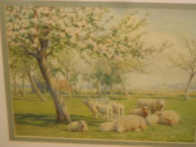 Appraisal: WILLIAM SIDNEY COOPER Sheep Resting beneath Apple Blossom signed and