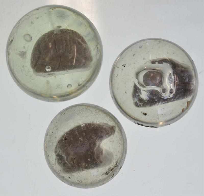 Appraisal: Lot of Razorback Sulphide Marbles Description All with some wear