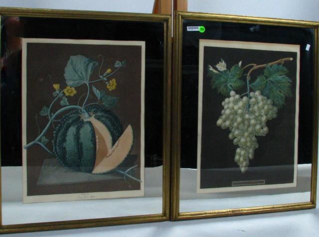 Appraisal: Pair of vintage mirror-matted lithographs depicting fruit size as framed